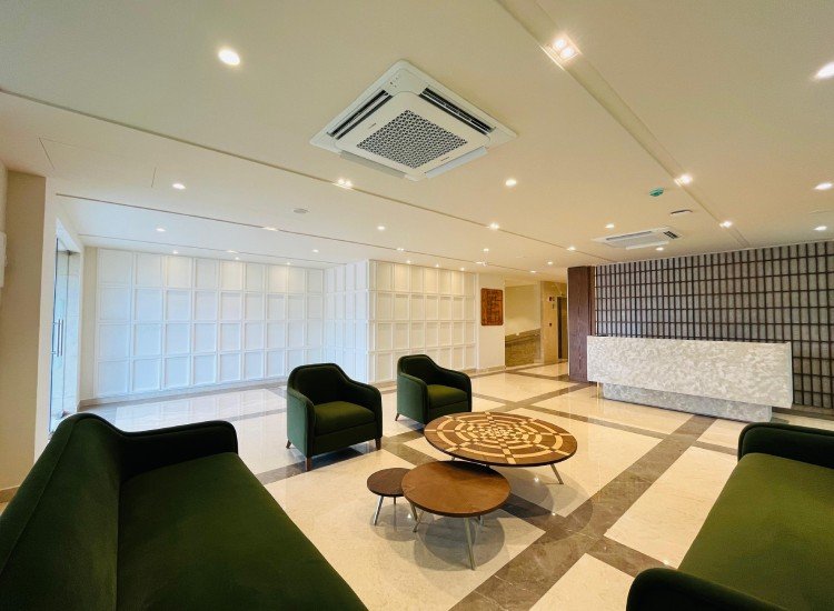 Ecolite Elevators Contact